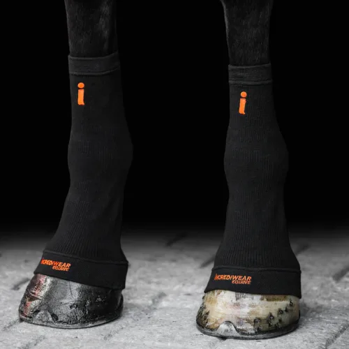 equine black circulation sock