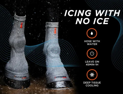 Keep the Heat at Bay And Cool Down Your Horse the Incrediwear Way
